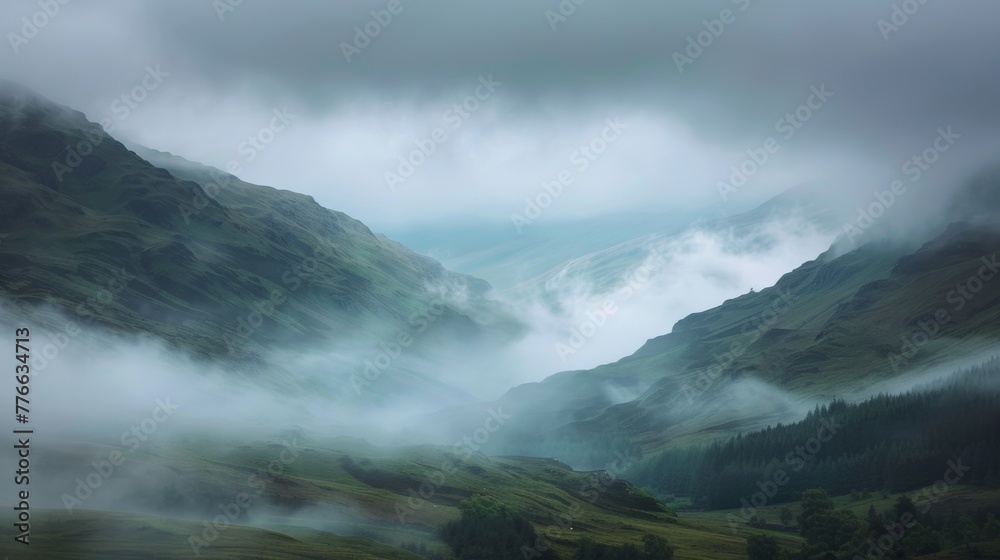 Landscape of mountains and pine forest with mist and fog at morning.