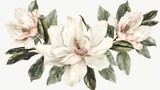 Vintage Botanical Illustration of White Magnolias - A detailed illustration showcasing the delicate beauty of white magnolia flowers with vibrant green leaves