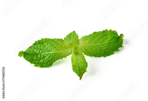 fresh mint leaves isolated on white background. Mint leaves have a fragrant aroma, and can be used in cooking and decorating dishes.