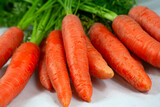 Karotten Möhren - frisches Gemüse roh und ungeschnitten