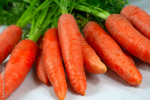 Karotten Möhren - frisches Gemüse roh und ungeschnitten