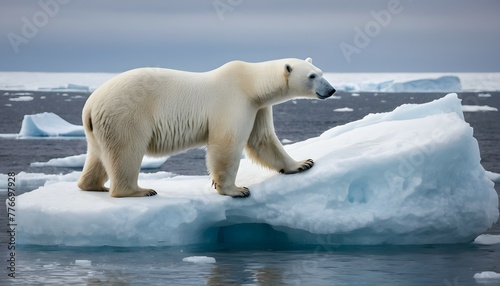A polar bear stranded on a small iceberg, surrounded by melting ice and open water, Global warming and climate change concept