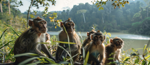 A group of monkeys sitting on the edge of an island in Bali