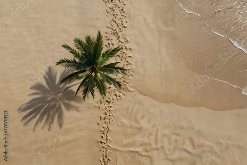 Overhead view of tropical beach with one palm tree .Generative AI