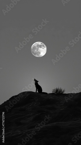 Coyote howling under a full moon