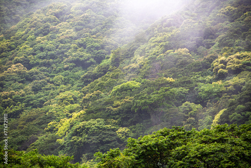 奄美地方梅雨入り間近 © KOSAC