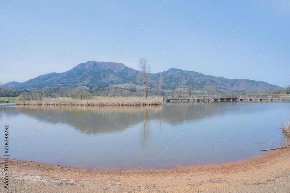 Fototapeta premium 新潟 上堰潟公園（新潟市）