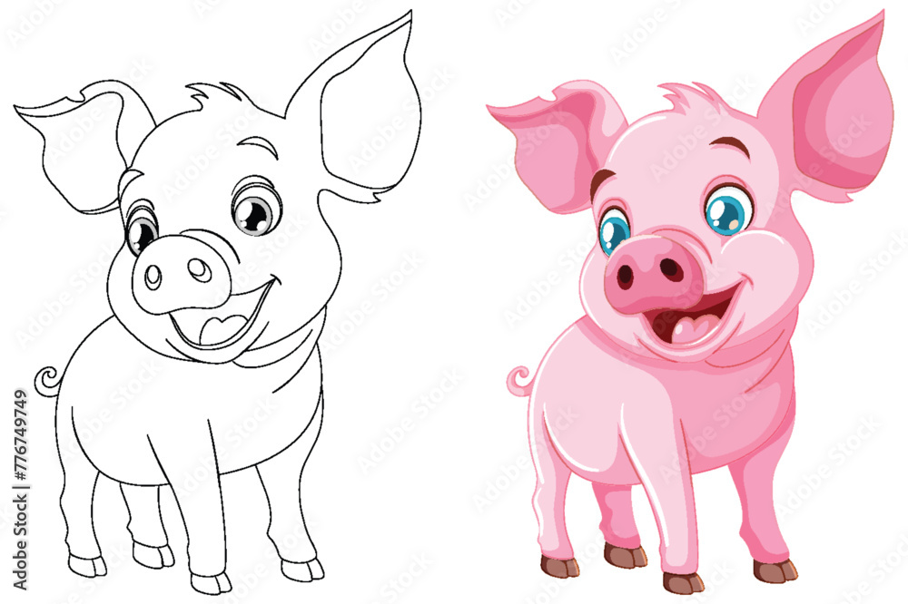 Black and white and colored pig illustrations