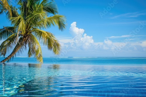 Sunny summer background at a tropical resort with palm trees and blue waters  Idyllic summer scene at a tropical resort with palm trees and crystal-clear blue waters.
