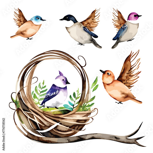 Colorful watercolor birds in nest drawing art design vector illustration. Chromatic Canopy: Colorful Watercolor Nest with Birds