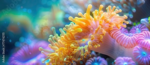 Vibrant Coral Polyp Extending Tentacles for Plankton Capture