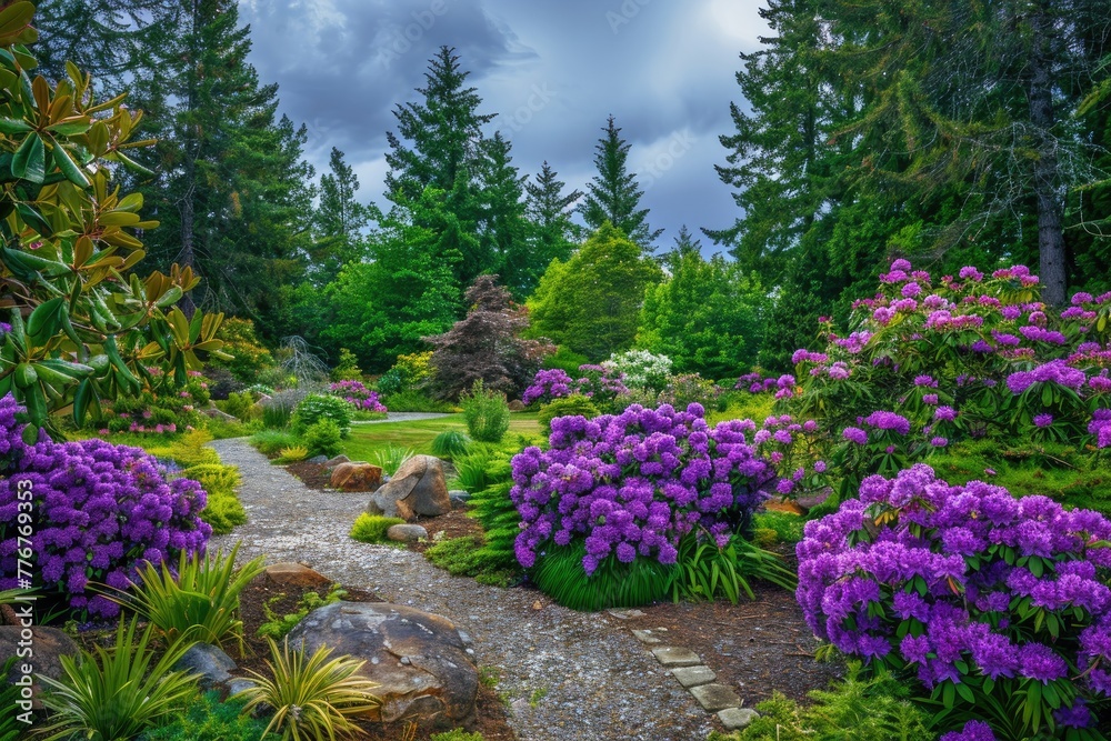 Beautiful garden with violet rhododendrons.