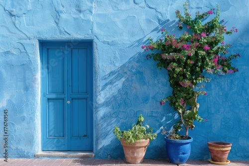 Blue Front door with plants, Facade of a modern building with modern door.