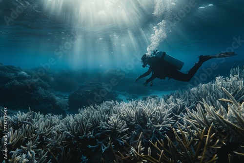  Scuba diver exploring a coral reef under the radiant beams of sunlight filtering through the ocean surface.
