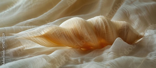 Transformation and Elegance A Silk Moths Singlethread Cocoon photo