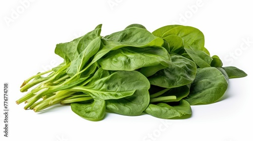 fresh top spinach green