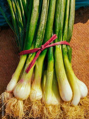 Spring onion green onions bunch of raw scallions fresh vegetable food green leaves bundle of hara piyaz closeup view image picture stock photo photo