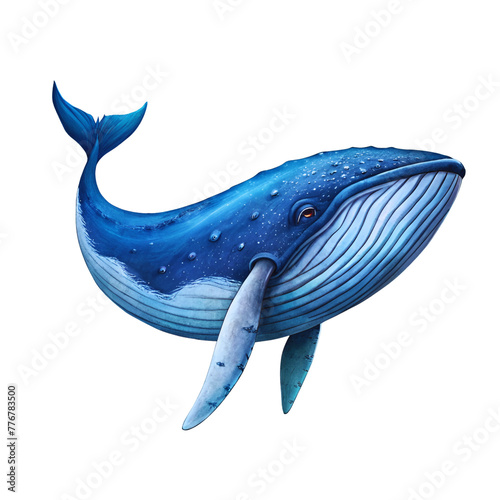 Blue whale watercolor illustration png.