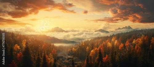 Scenic landscape showing a lush forest with a majestic mountain peak in the far background photo