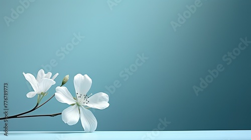 calming teal blue and gray background