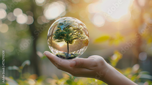 tree inside crystal ball under sunligth blur background green world Earth day concept Ecology ecological balance