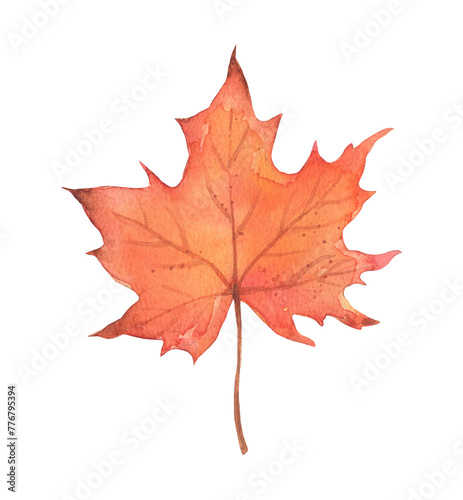 Watercolor autumn maple leaf isolated. Hand drawn illustration