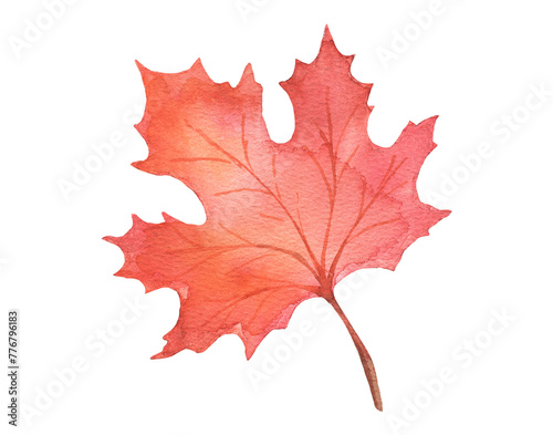 Watercolor autumn maple leaf isolated. Hand drawn fall illustration