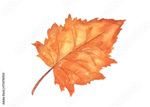 Watercolor autumn tree leaf isolated. Hand drawn fall illustration