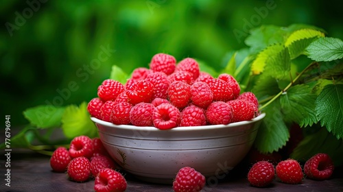 freshly nature raspberry fruit