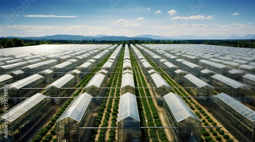 farm agriculture aerial
