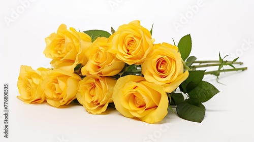 bouquet yellow rose white background
