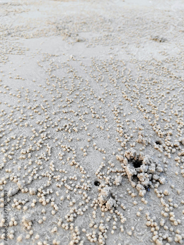 crab holes on beach in sunshine day