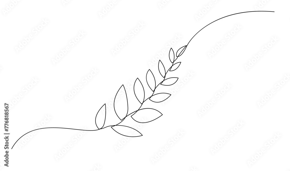 leaf of plant one line drawing. Vector illustration in continuous line style.
