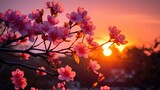 tree light pink flowers sun