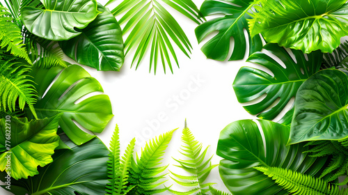 natural / leafy frame. space for copy. background, natural, leaves, botanical, border, nature © Abas