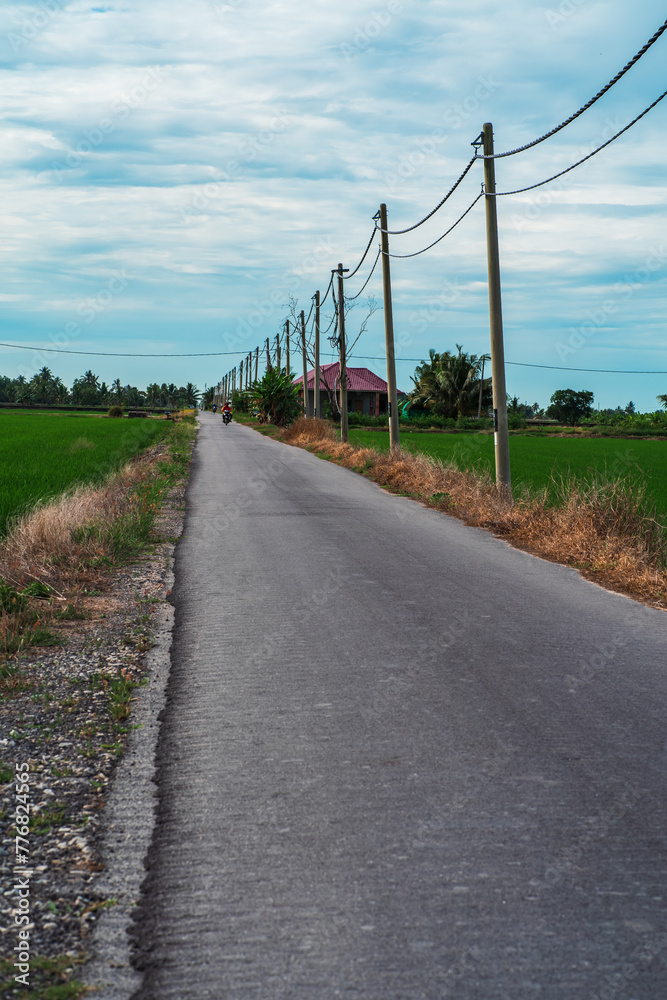 Ashphalt road leading to the village crossing the green paddy fields. Ashphalt road leading to the village crossing the green paddy fields.