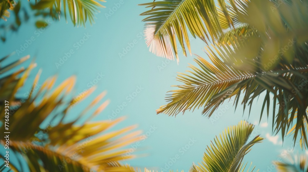A clear view of a palm tree can be seen through the lush green leaves of surrounding foliage. The palm tree stands tall and prominent against the backdrop of the sky.