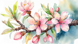 Watercolor drawing of a blooming almond branch with delicate pink flowers
