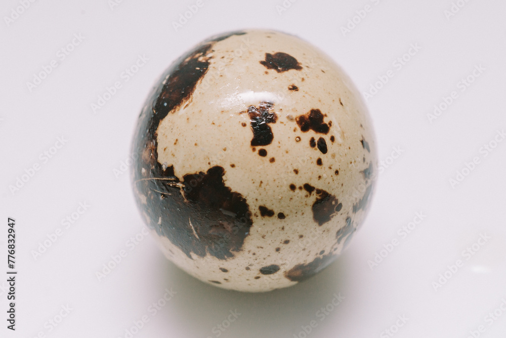 Quail eggs that are the size of an adult human's thumb are lined up on a white mat for photographic and detailed purposes. Quail eggs that are the size of an adult human's thumb are lined up on a white mat for photographic and detailed purposes.