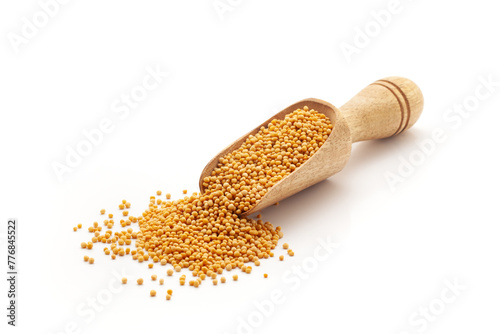 Front view of a wooden scoop filled with Organic Mustard seeds (Sinapis alba). Isolated on a white background.