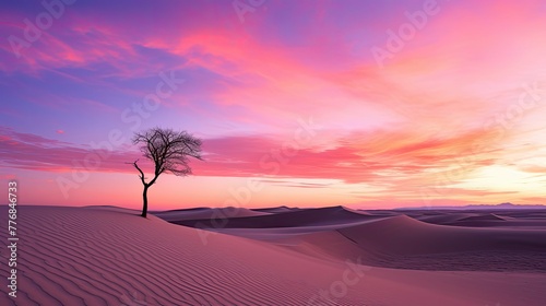 sky pink desert