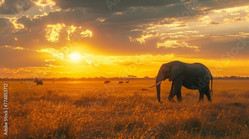Safari Serenade: Exploring Africa's Wildlife's Inventiveness