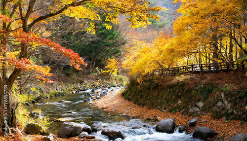 紅葉した渓谷の風景。A valley landscape with autumn leaves.