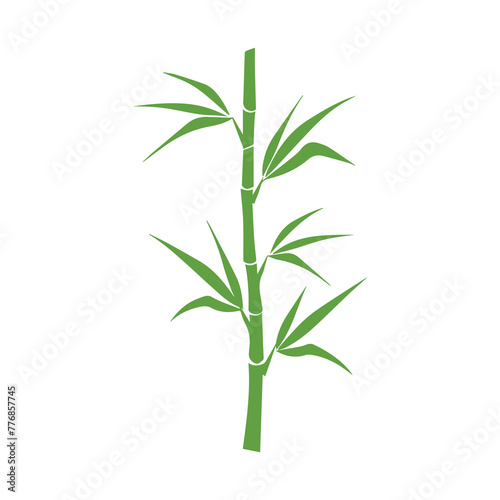 Bamboo leaves icon over white background  silhouette style  vector illustration