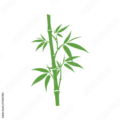 Bamboo leaves icon over white background  silhouette style  vector illustration