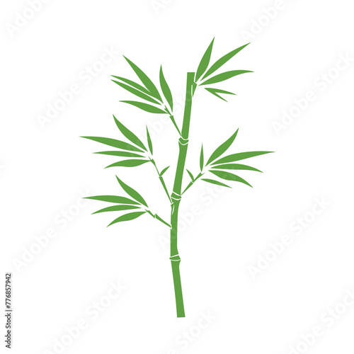 Bamboo leaves icon over white background  silhouette style  vector illustration