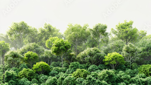 Vibrant green forest isolated on white background  3D rendering