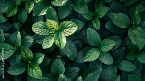 Vibrant green leaves forming a natural background