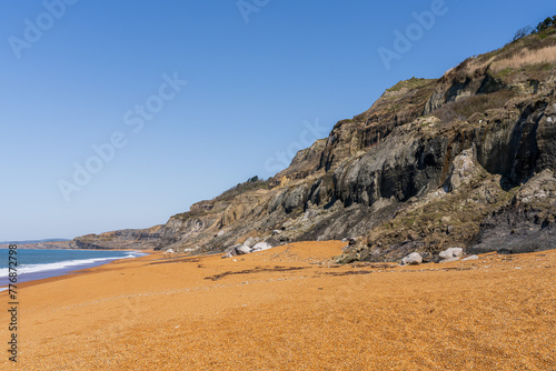 The Channel Coast near Chale Bay, Isle of Wight, UK photo