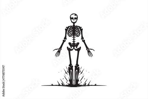 skeleton in front of a background